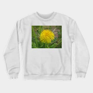 Dandelion flower Crewneck Sweatshirt